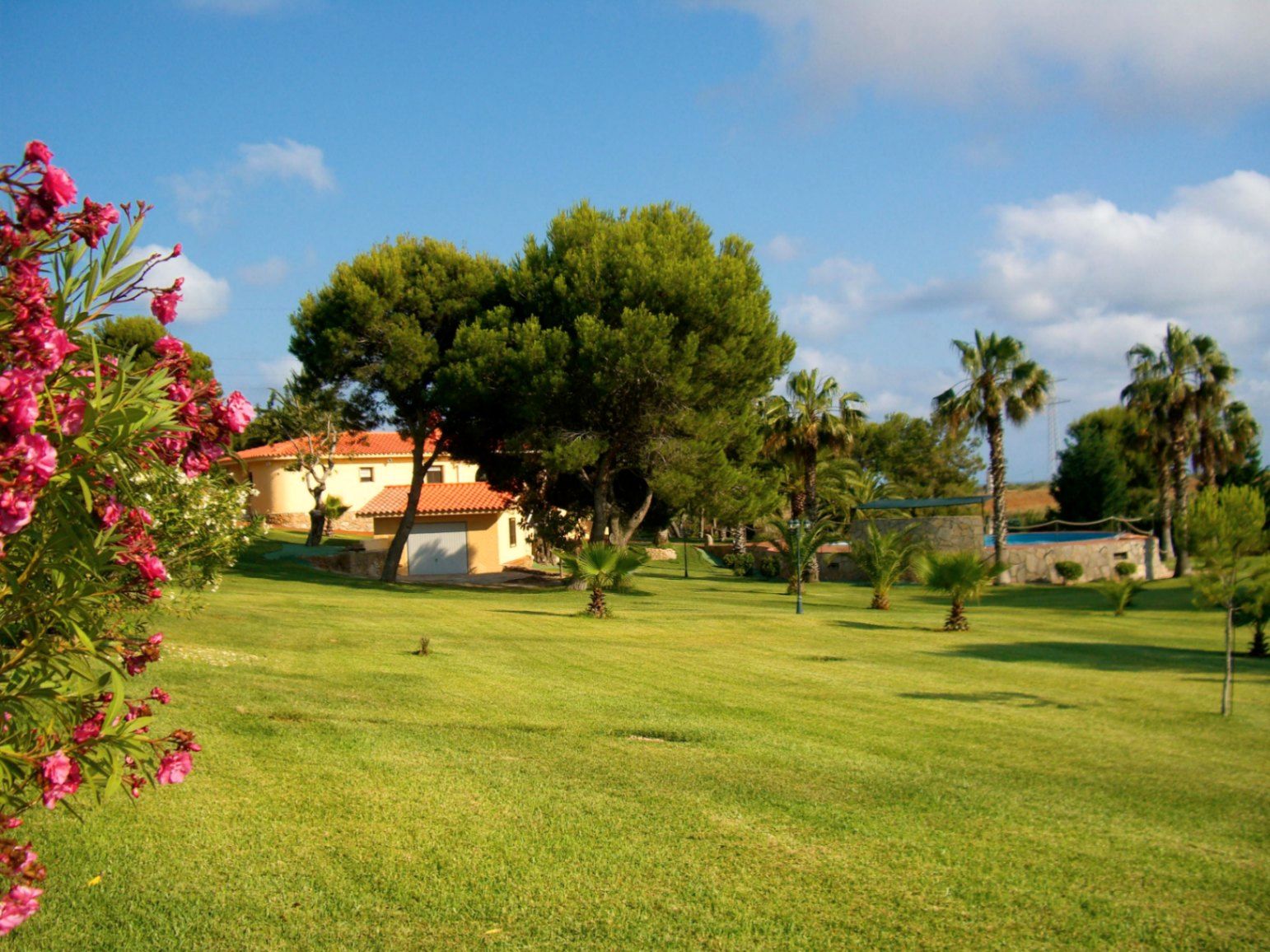 Garden of House or chalet for sale in Alcalà de Xivert  with Swimming Pool