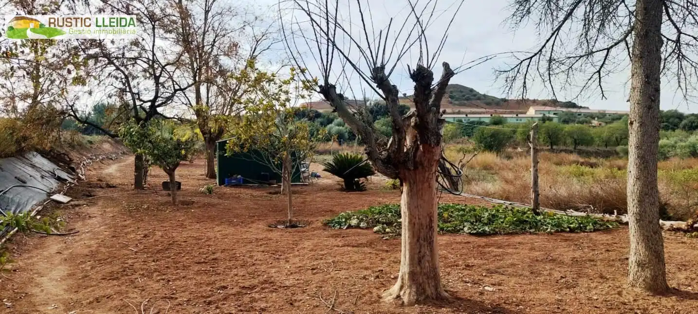 Terreny rústic en venda a Juneda, imagen 9