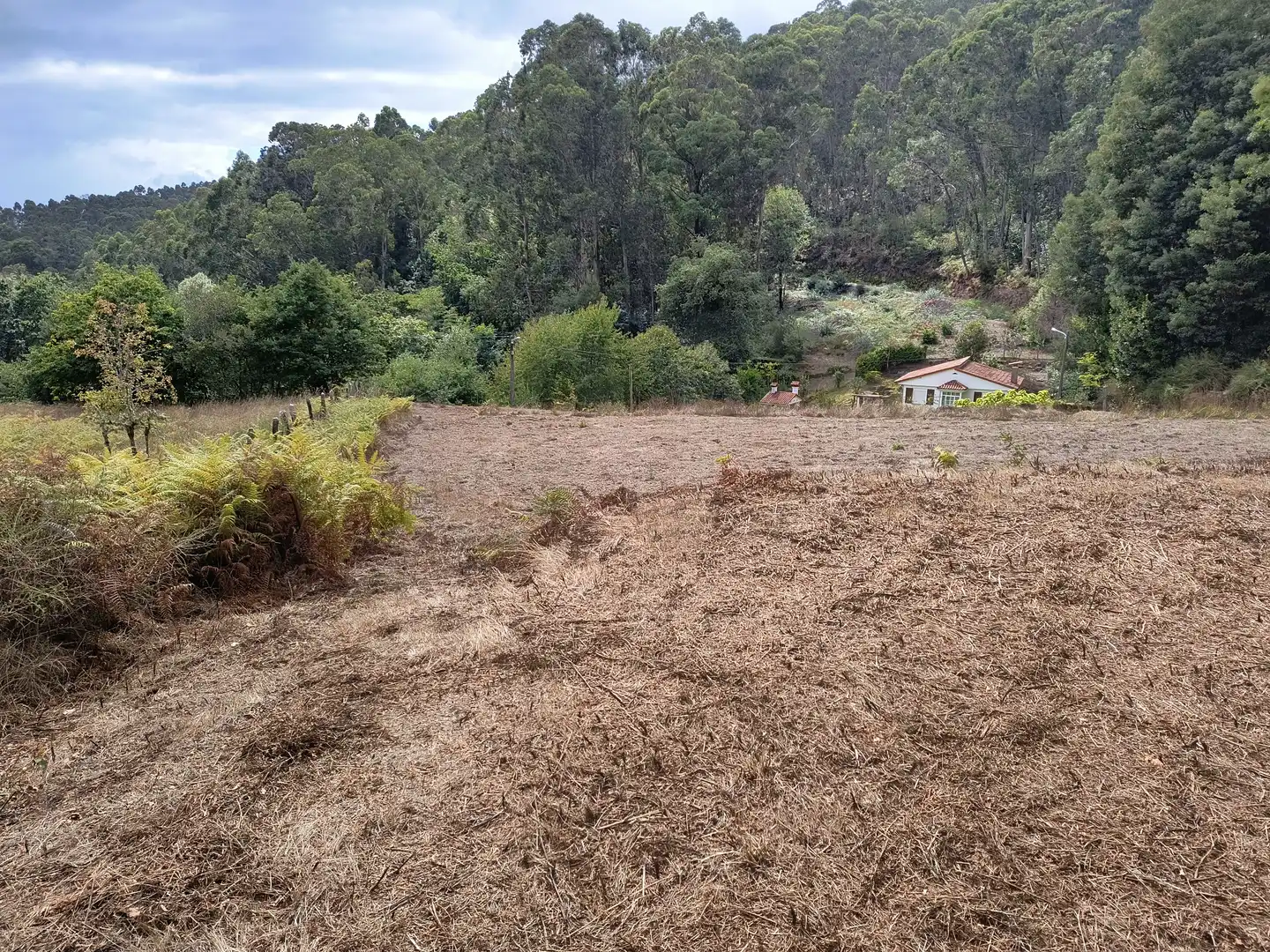 Terrenos y solares en venta en Mondariz, imagen 3