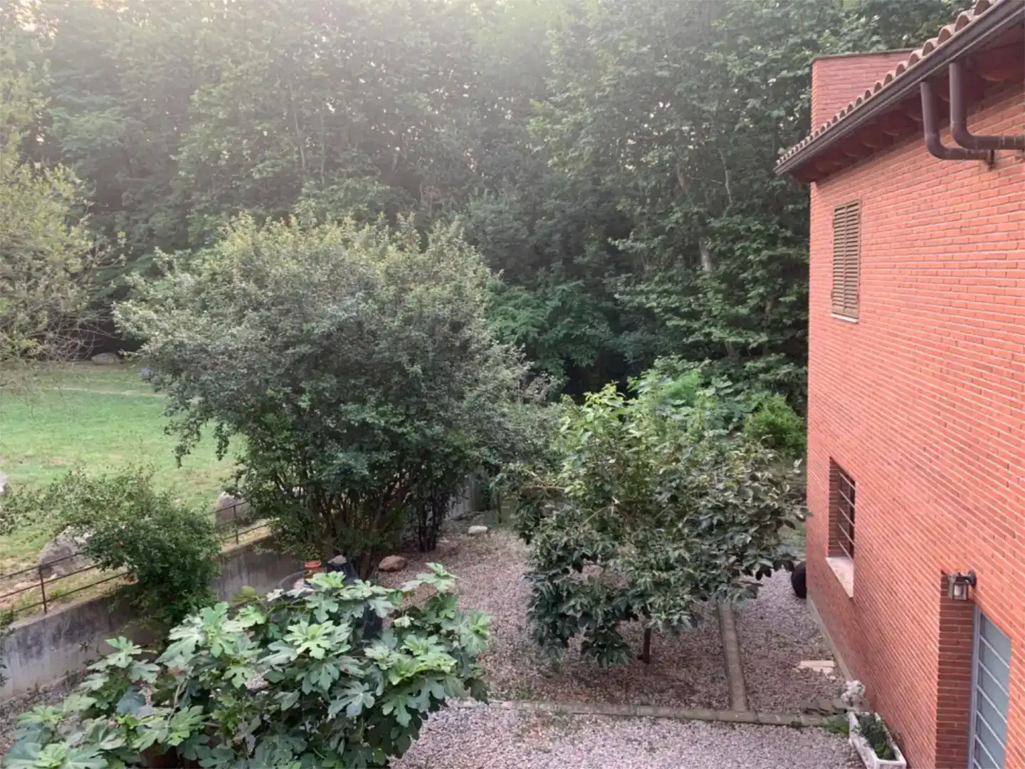 Jardín de Casa o chalet en venta en Gualba, Barcelona