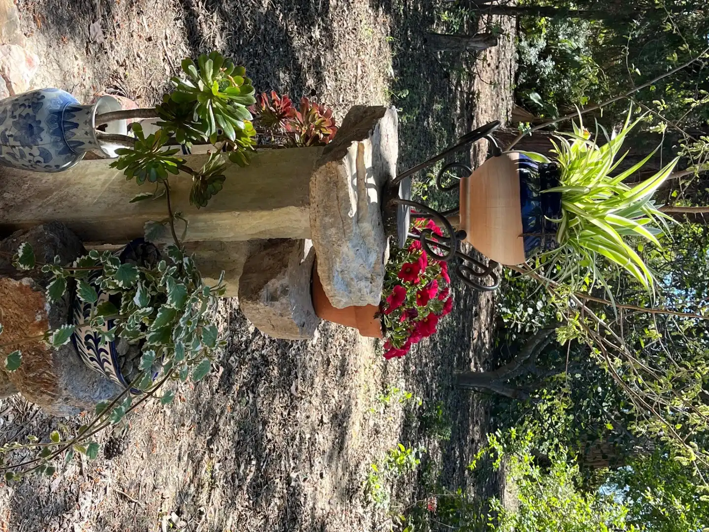 Jardín de Finca rústica de alquiler en Catral con Jardín privado