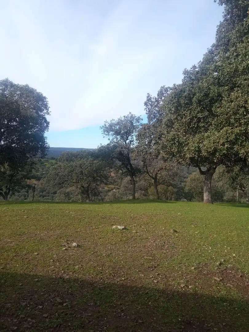 Finca rústica en venda en Cardeña