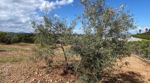 Foto 4 de Terreny en venda a Centro, Alhaurín El Grande