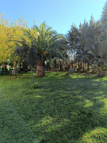 Piso en Venta en Torremayor