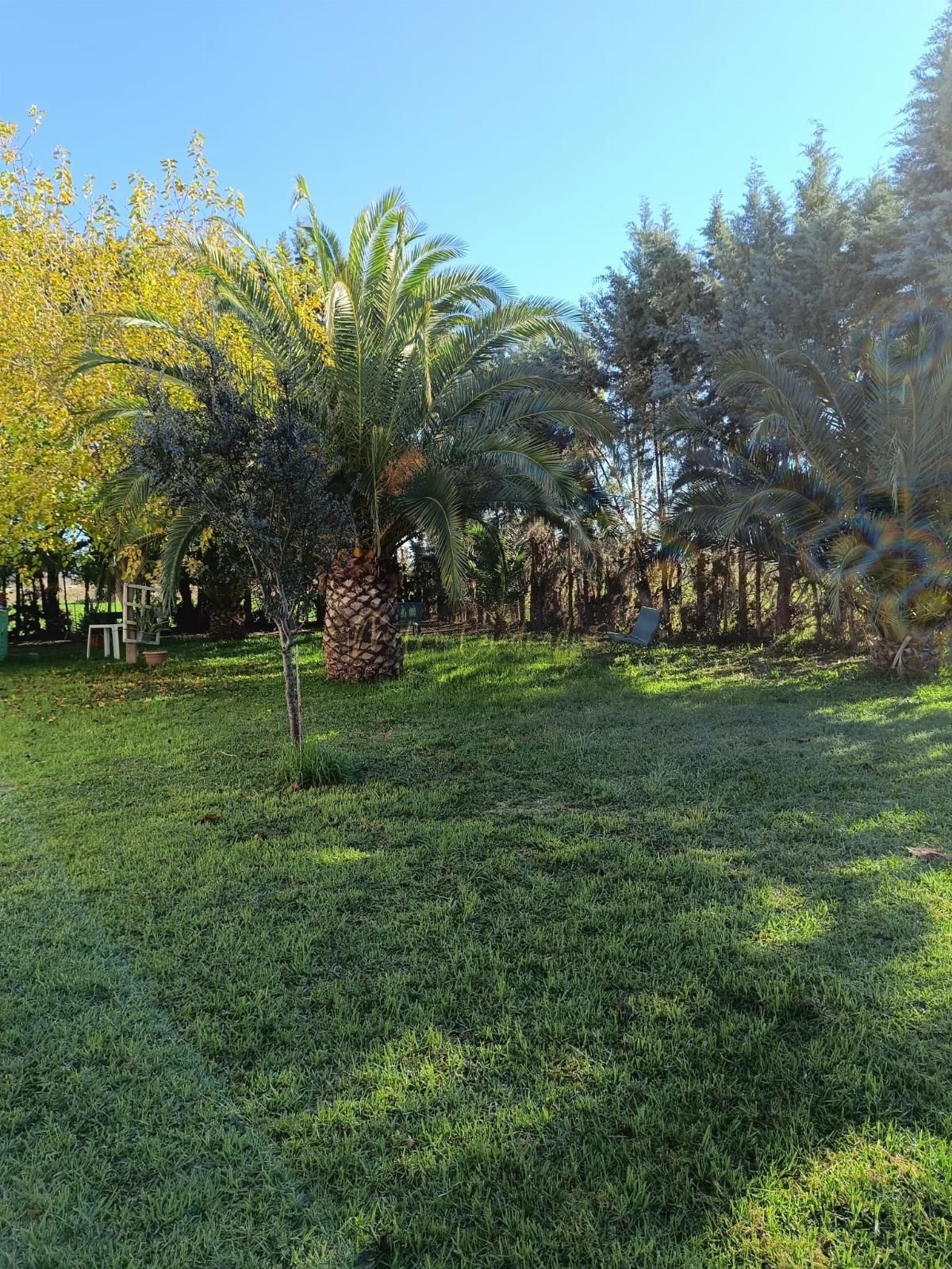 Pis en venda a Torremayor