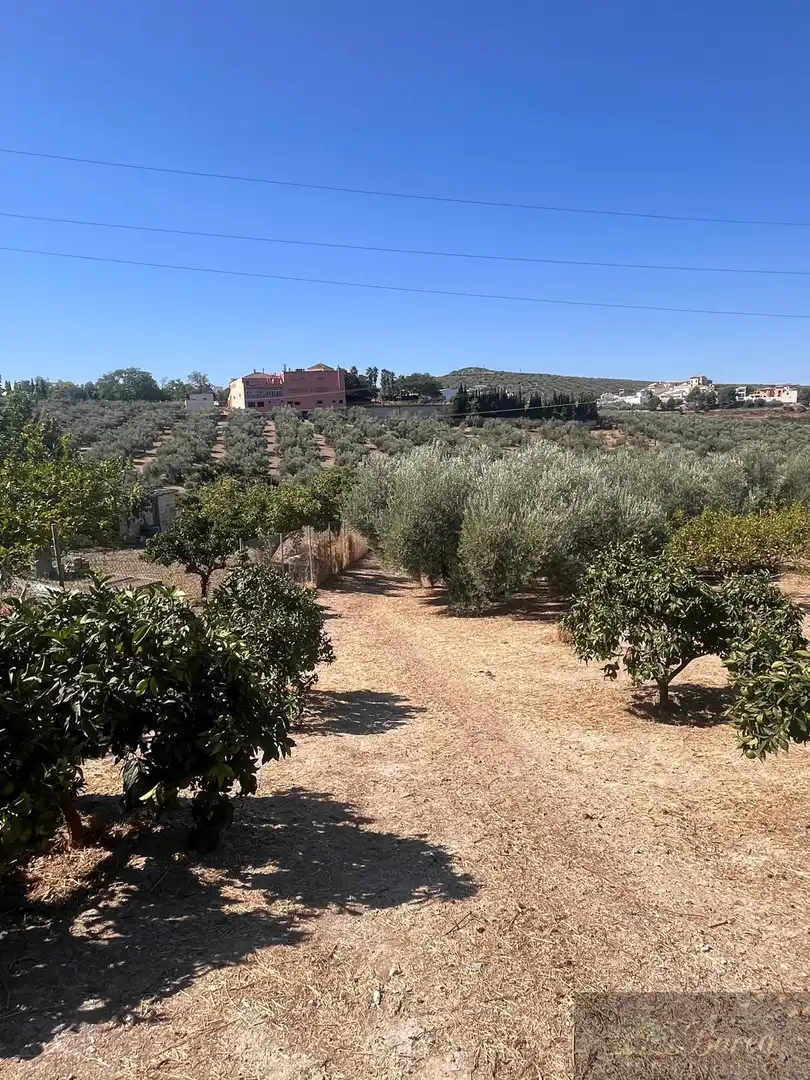 Casa rustica in vendita a Rute, imagen 5