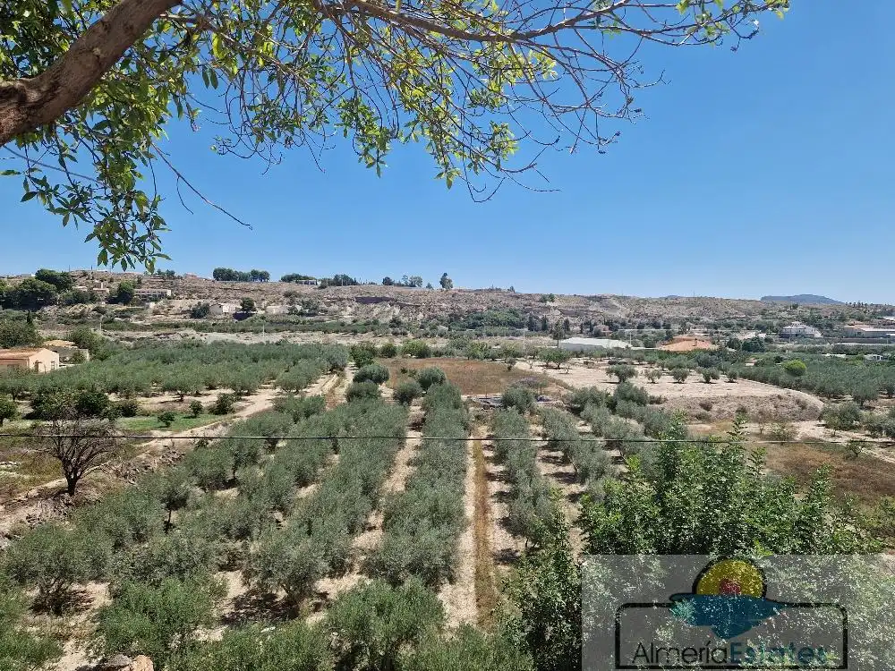 Detached house for sale in Albox, imagen 6