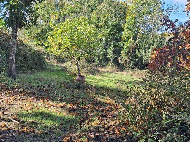 Finca rústica en Venta en Jabugo