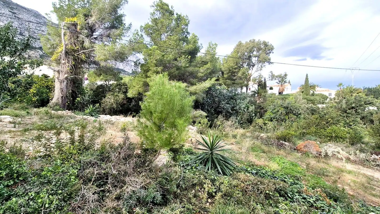 Terreni e lotti in vendita a Avellana, imagen 16