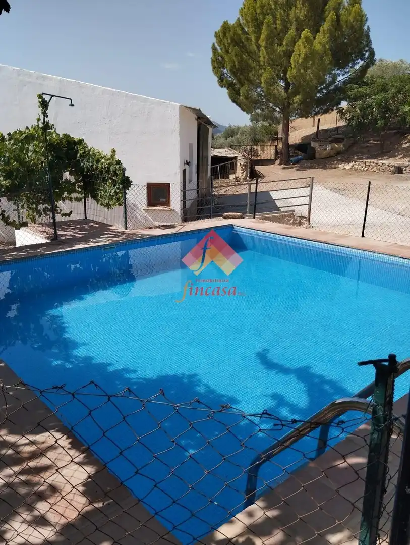 Swimming pool of Houses for rent in Ronda  with Furnished and Community pool