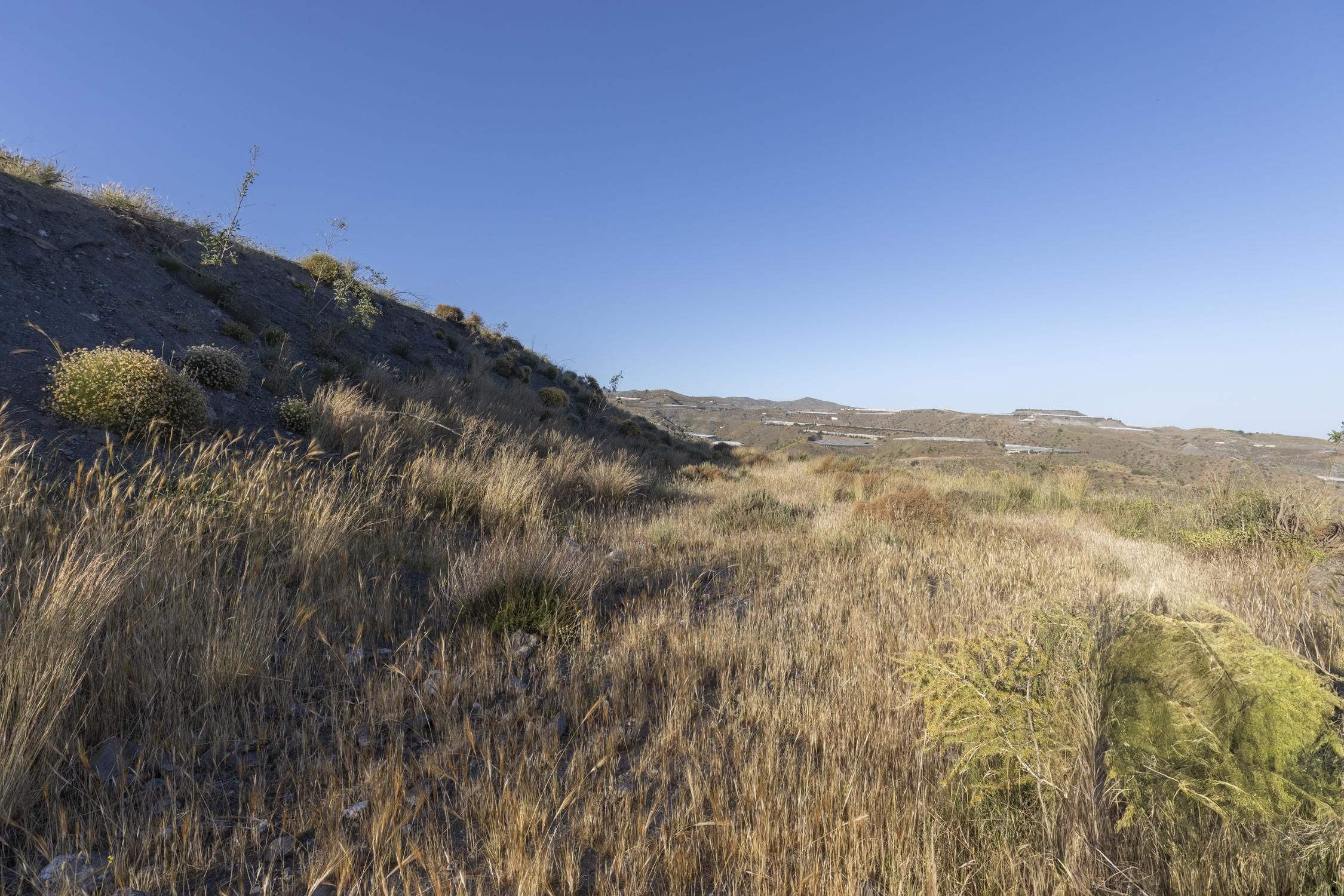 Terreno en venta en Albuñol