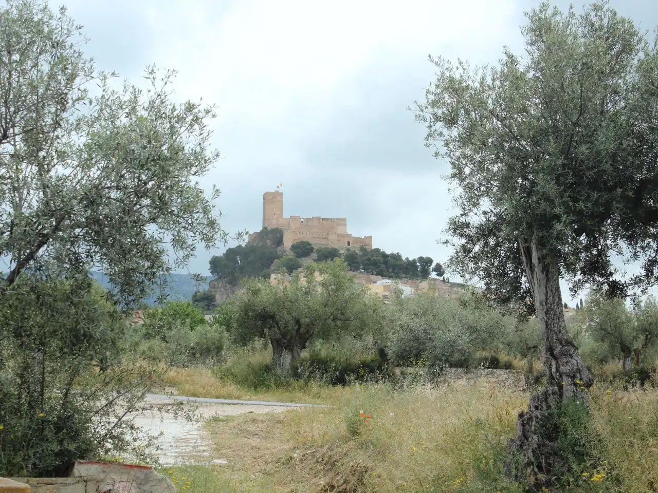 Vista exterior de Casa o xalet en venda en Biar amb Terrassa