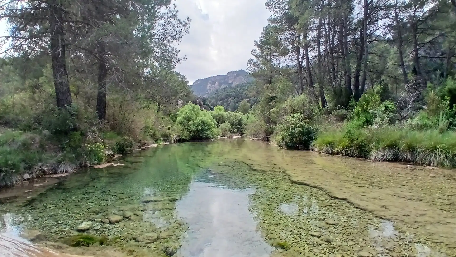 Swimming pool of Land for sale in Beceite