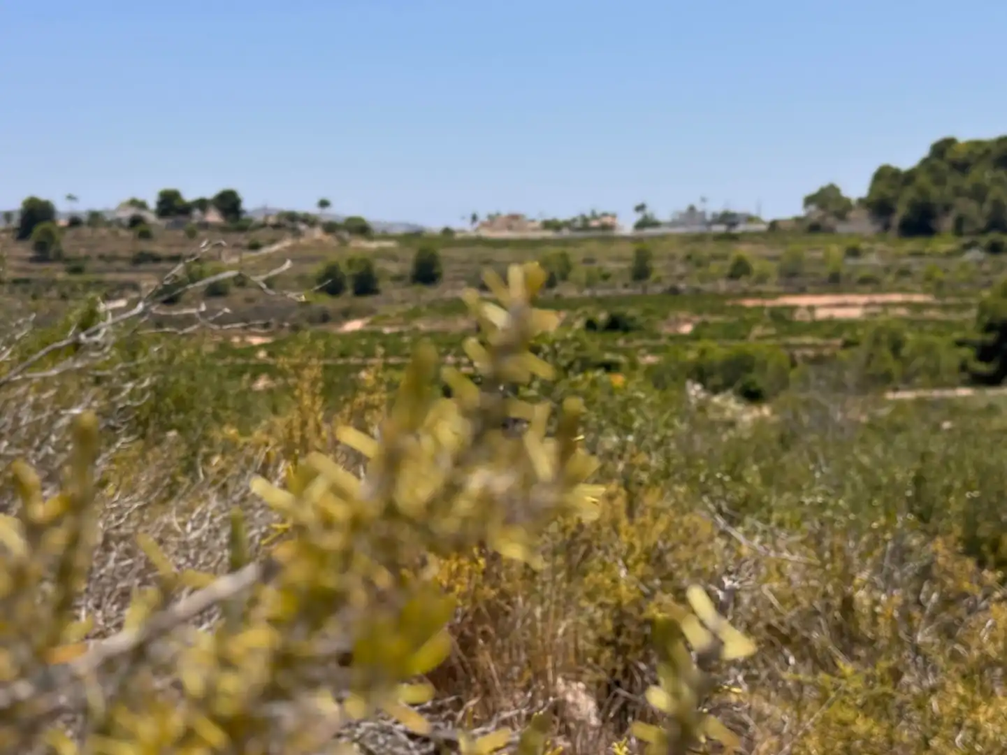 Terreny residencial en venda a Teulada, imagen 14