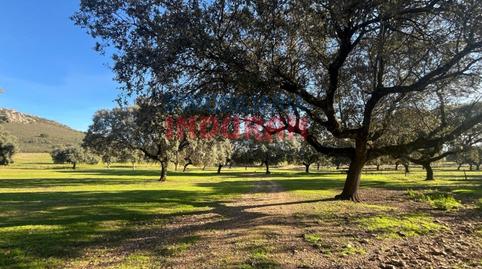 Photo 3 of Country house for sale in Calle Corrales Casa, Deleitosa, Cáceres