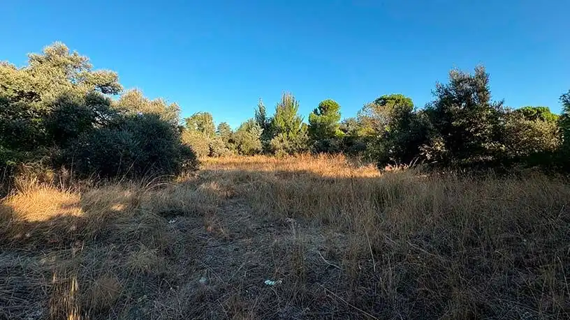 Residencial en venta en Madrid