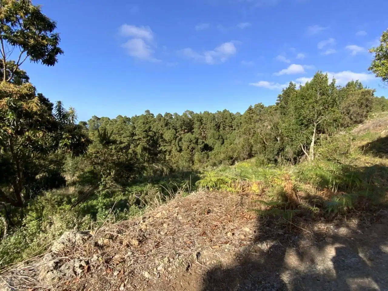 Terreno en venta en Icod de los Vinos