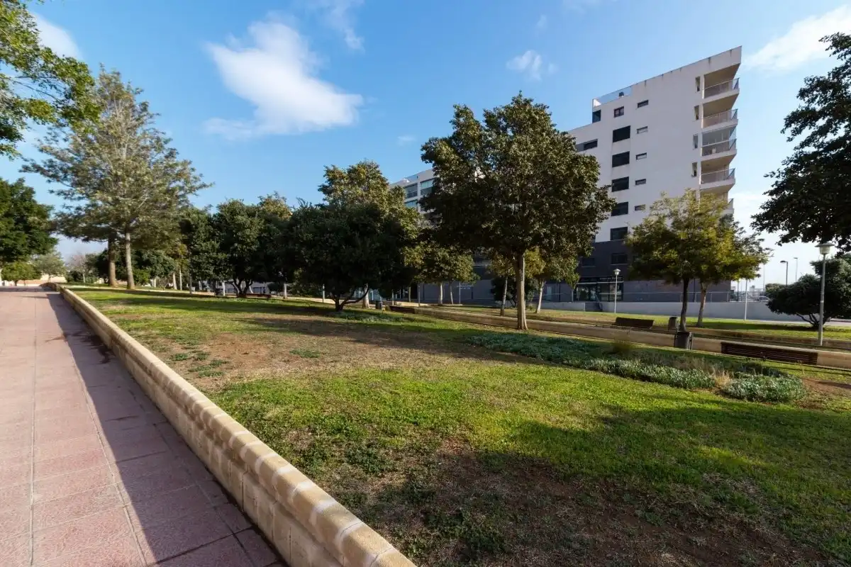 Business premises for sale in Los Molinos - Villa Blanca, imagen 9