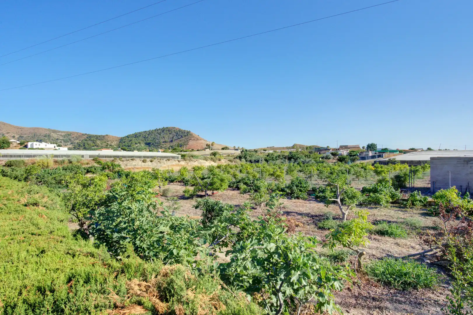 Casa o chalet en venta en Motril con Jardín privado, Trastero y Piscina