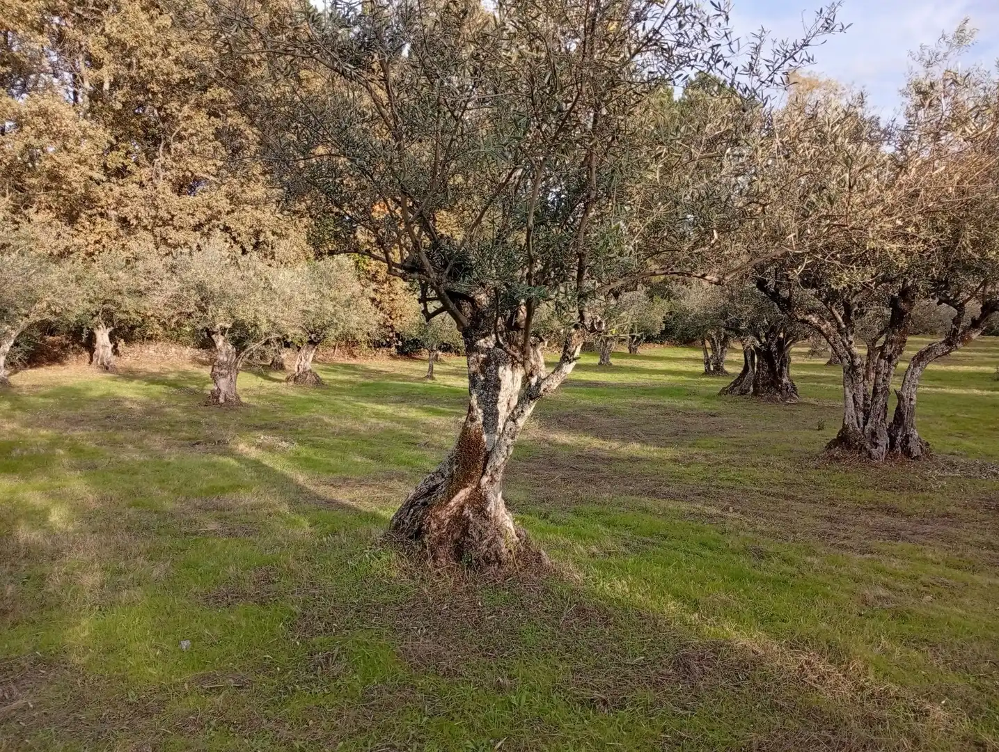 Terreni e lotti in vendita a Villanueva de la Vera, imagen 25