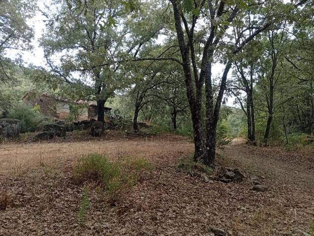 Terreno en Venta en Villanueva de la Vera