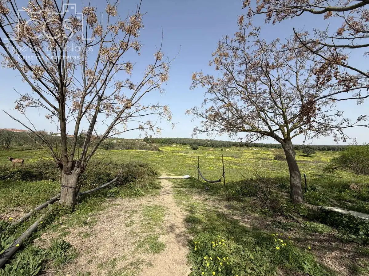 Country homes for sale in Pilas  with Swimming Pool