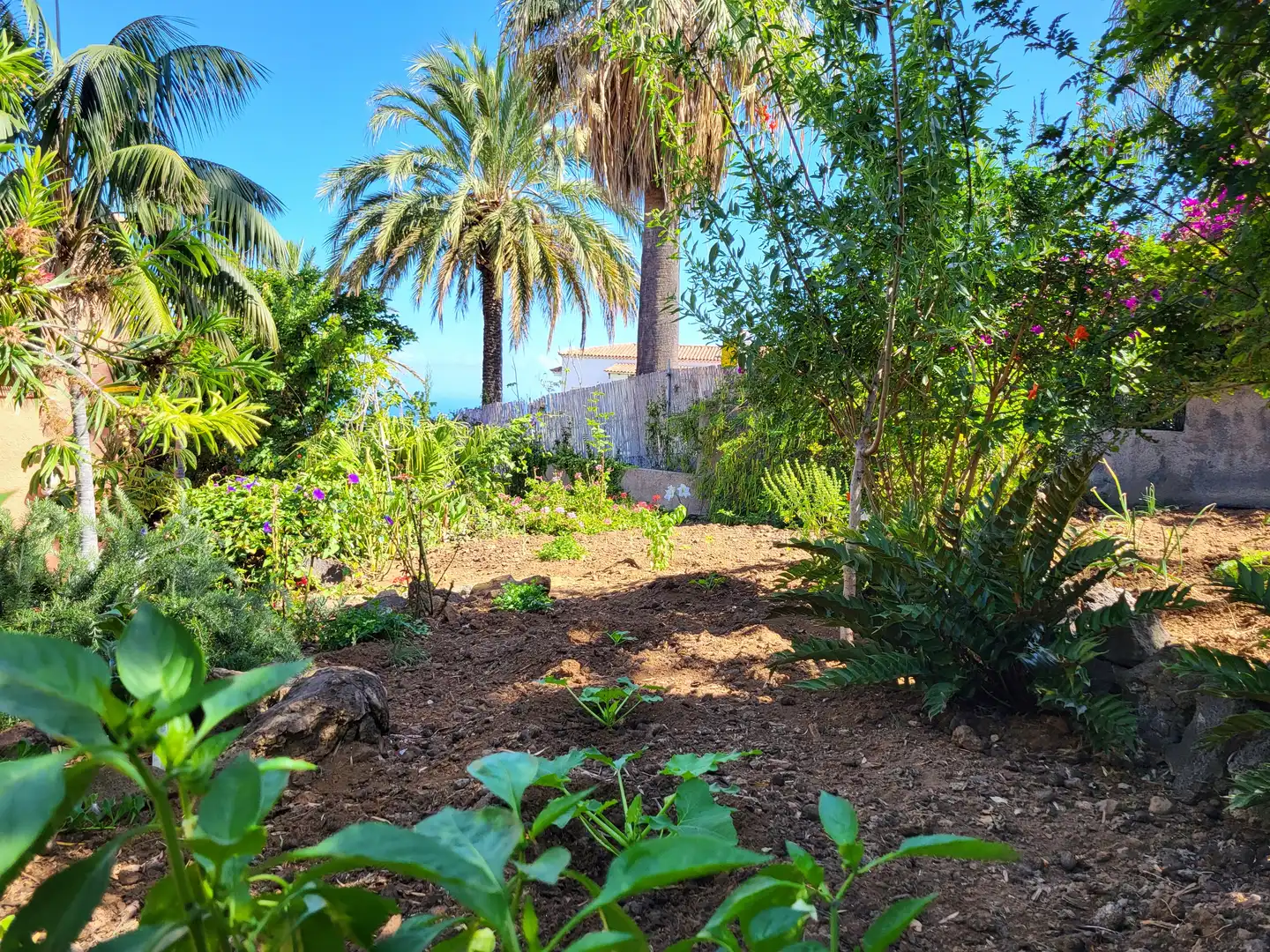 Garden of Country homes for sale in Tacoronte  with Air Conditioner, Heating and Parquet flooring