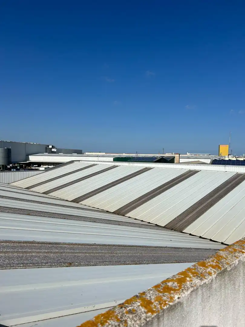 Nau industrial en venda a CAMI DE FAITANAR, 2, Picanya