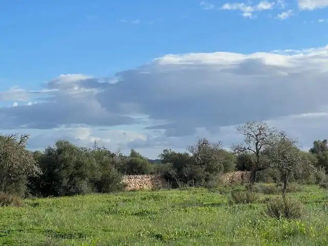 Terrenys i solars en venda a Ses Salines, imagen 10