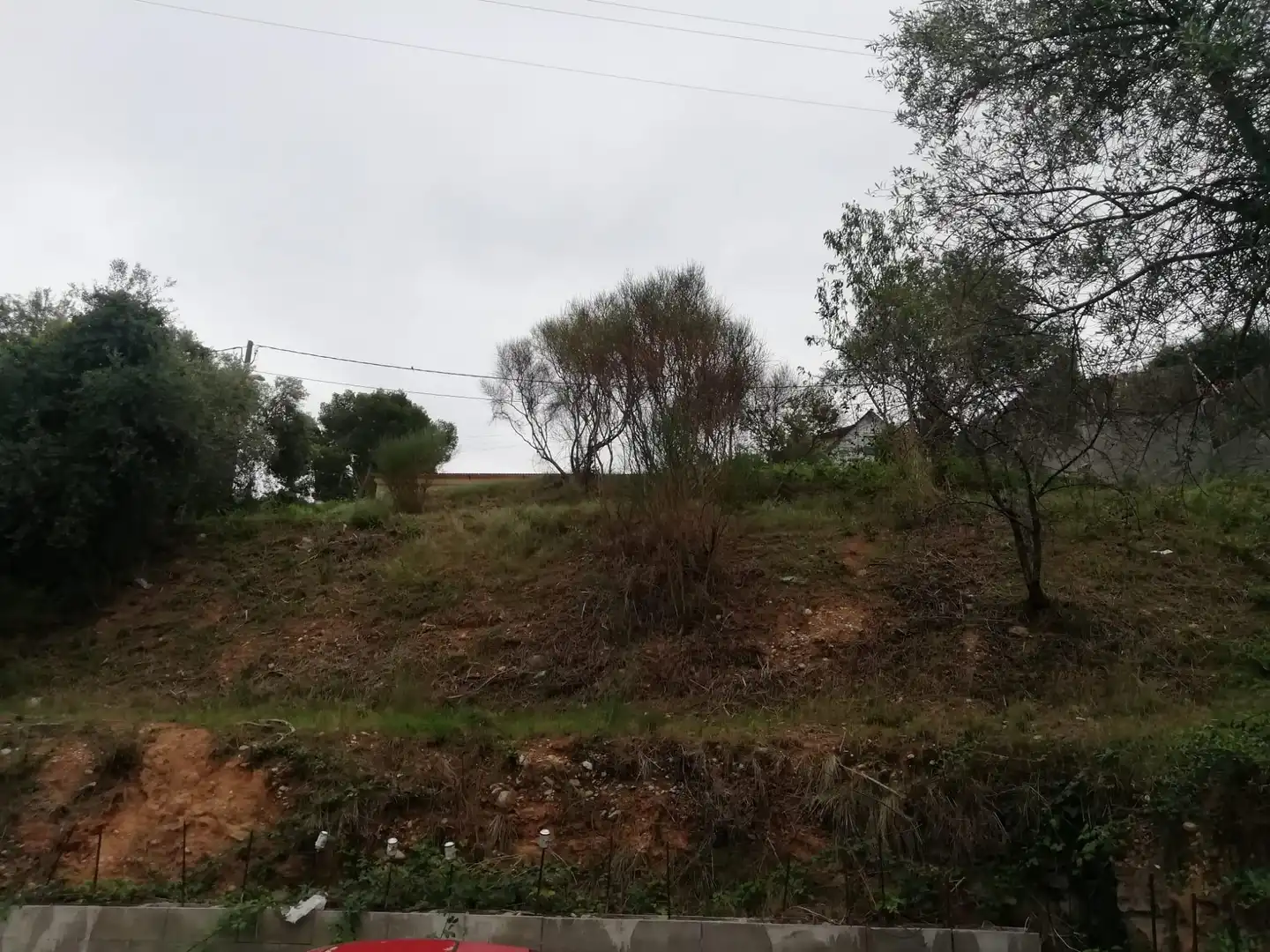 Terreno rustico in vendita a Piera, imagen 2