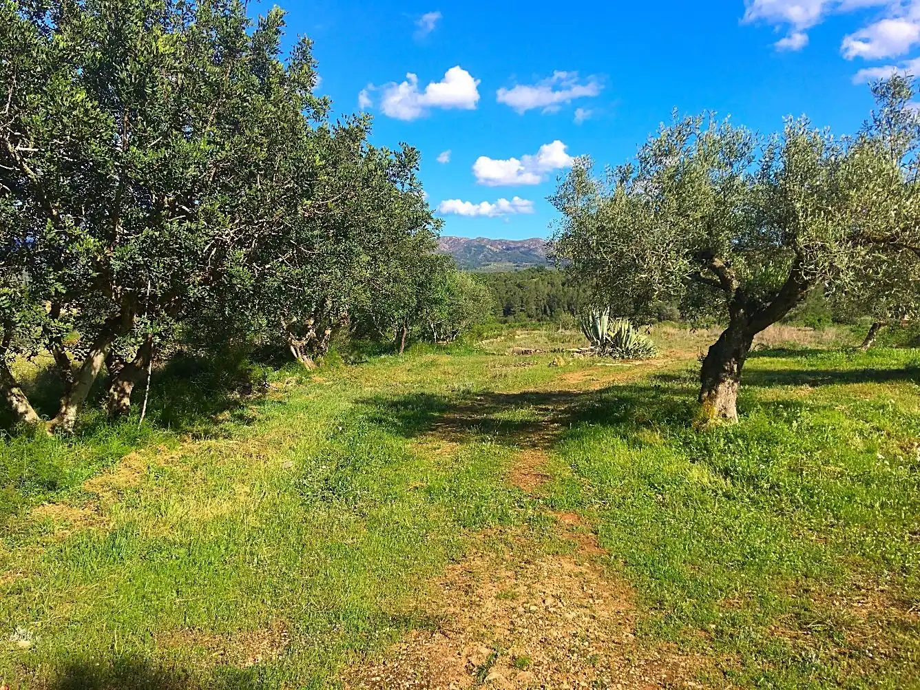 Casa rustica in vendita a Rasquera, imagen 3