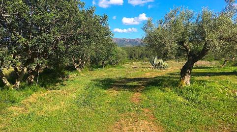 Foto 3 von Country house zum Verkauf in Rasquera, Tarragona