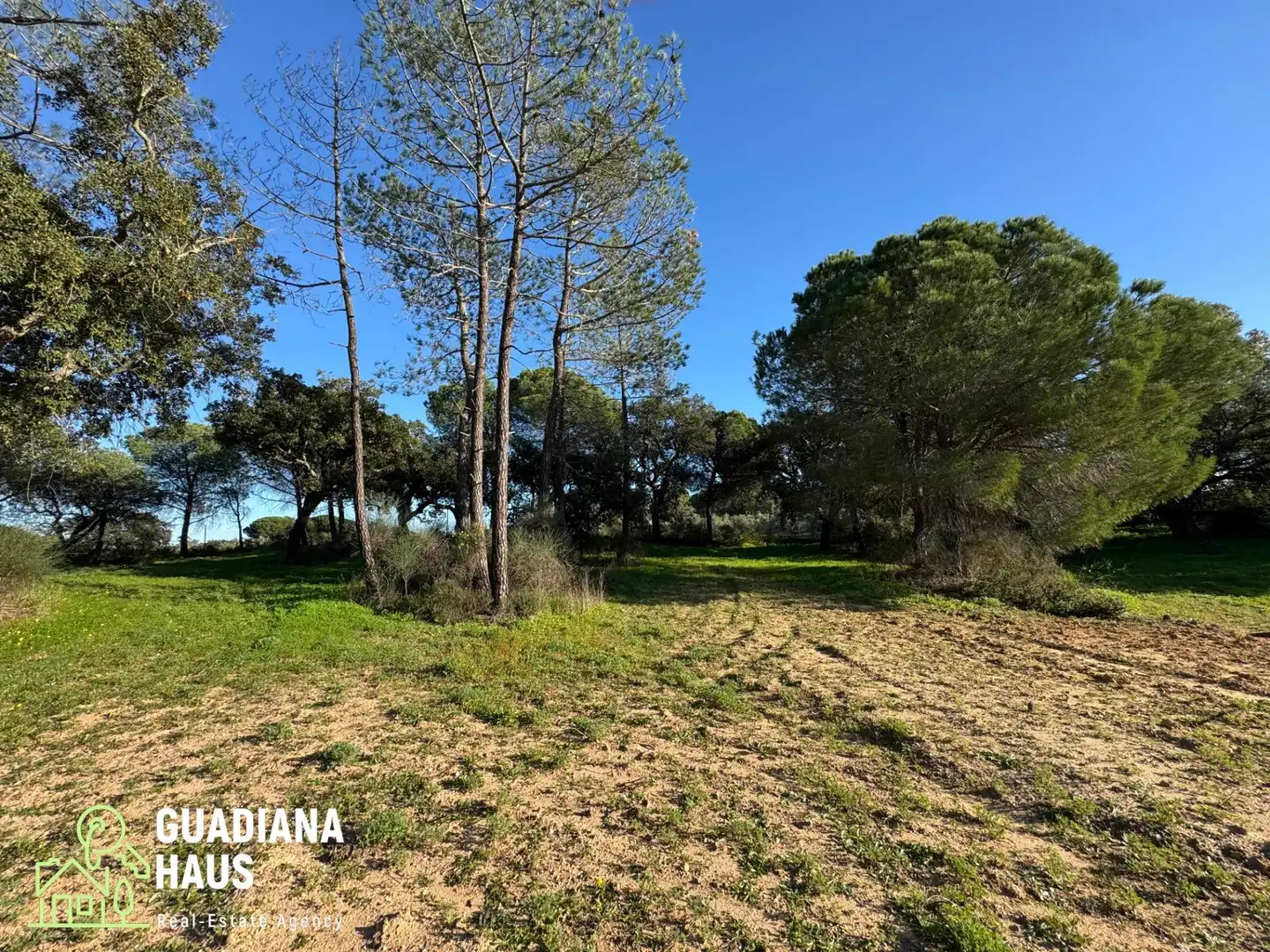 Finca rústica en venda en Villablanca
