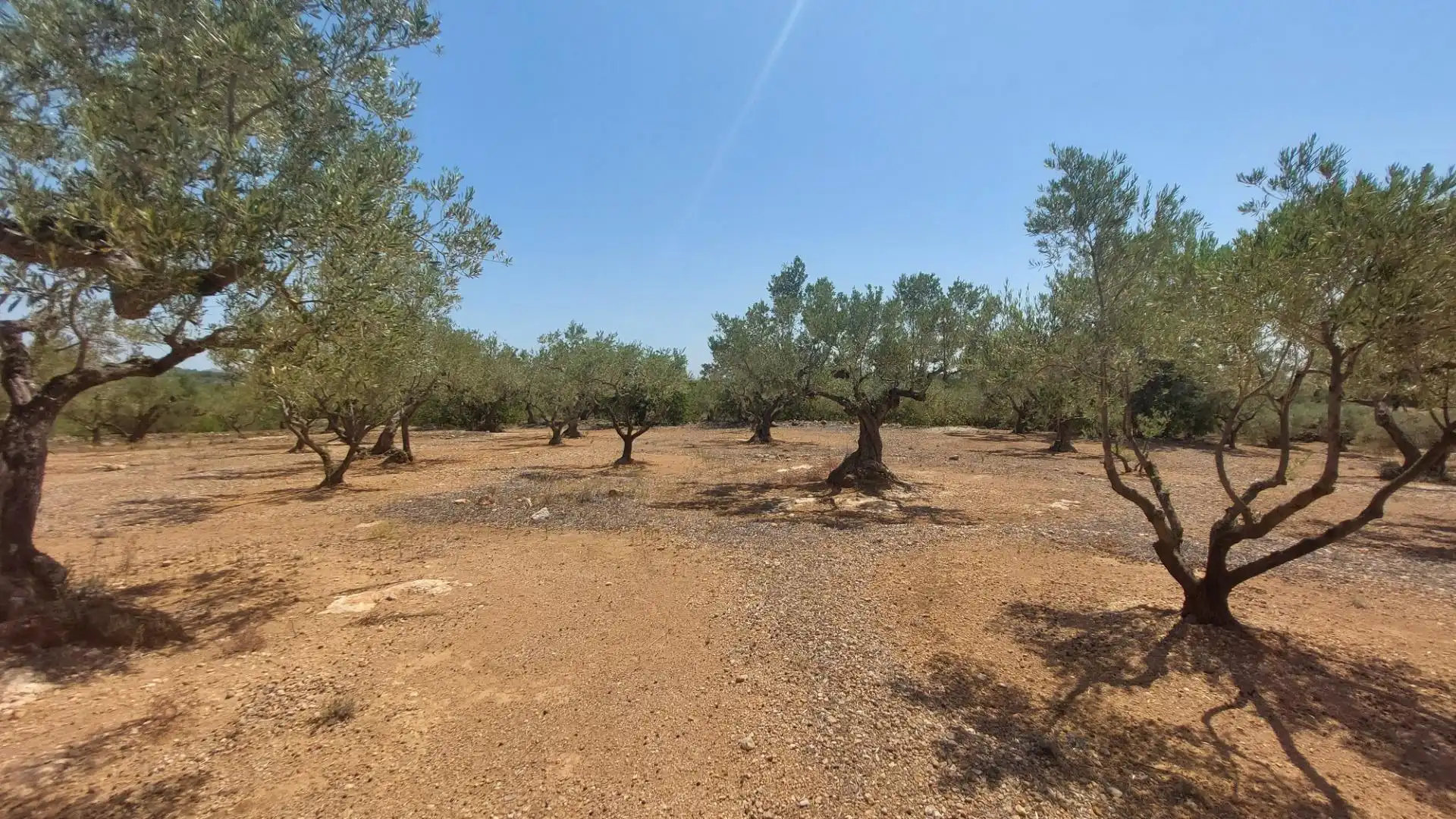 Maison rustique à vendre à L'Ampolla, imagen 11