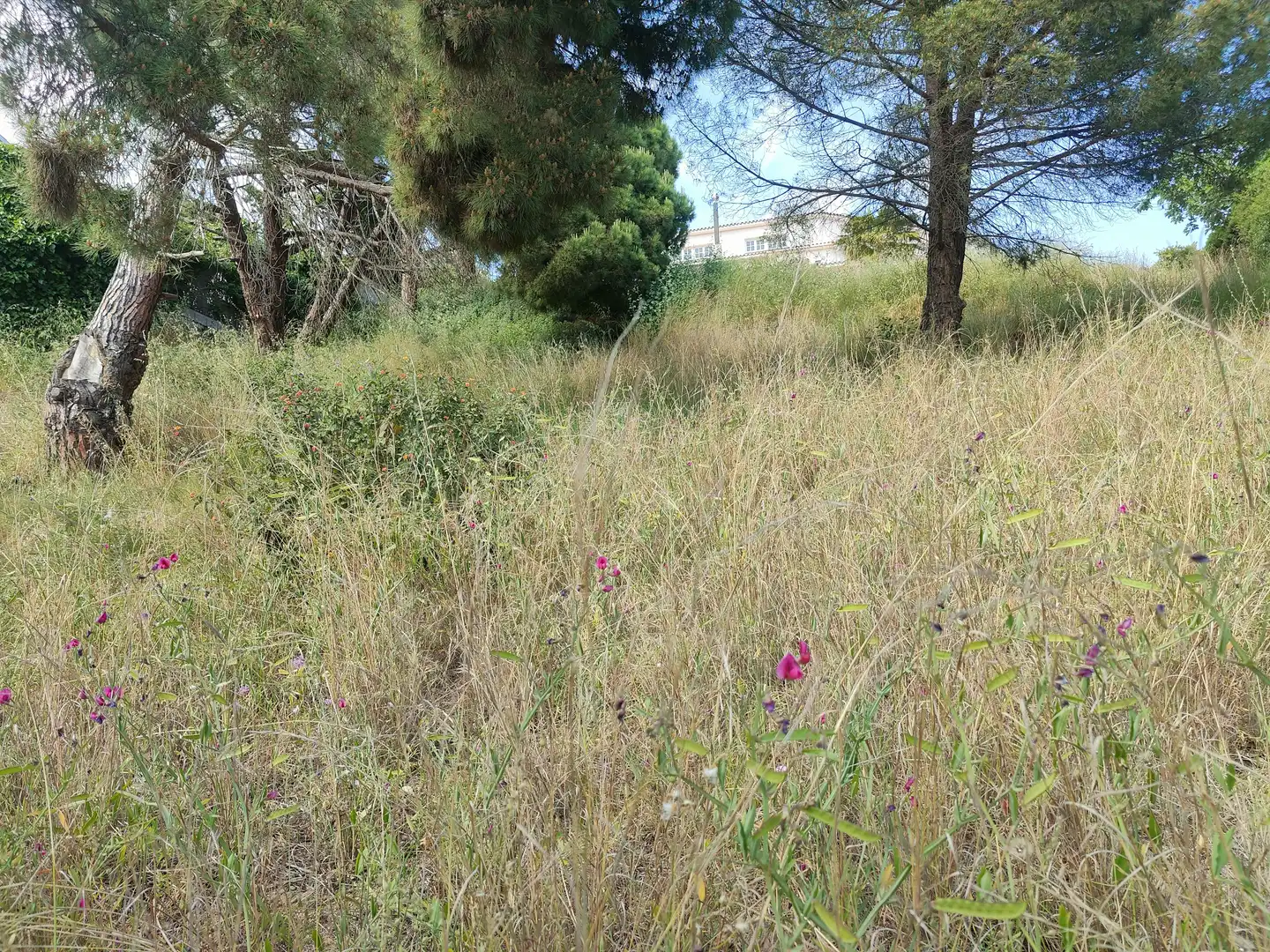 Residential land for sale in Calella, imagen 6