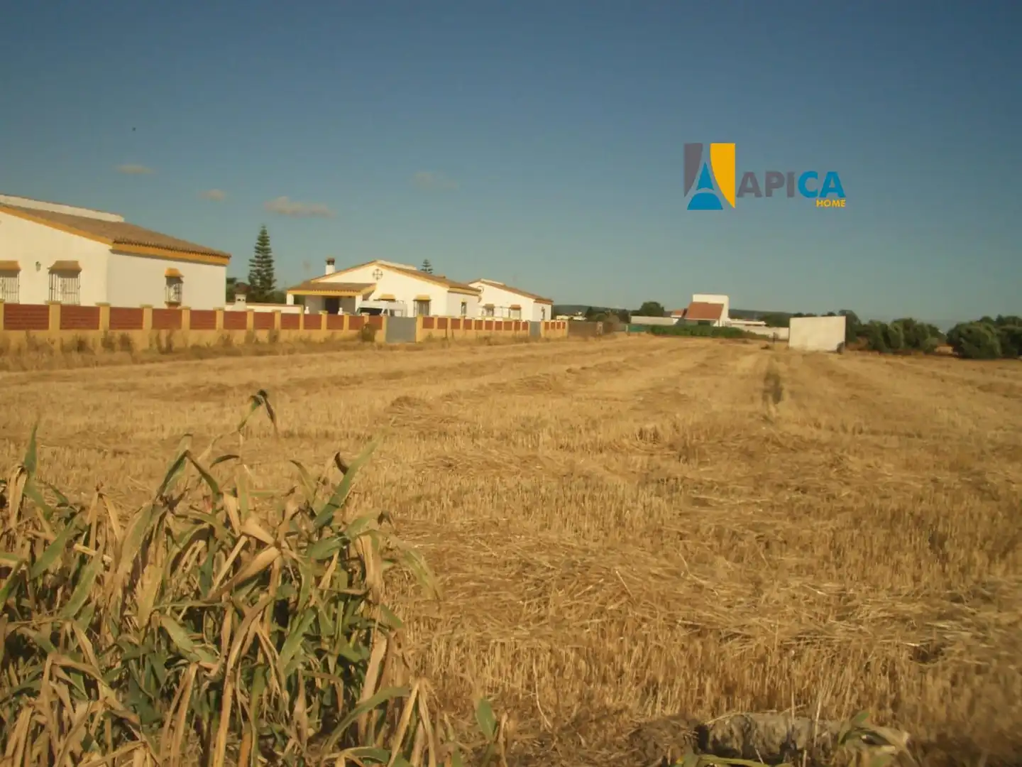 Terreni e lotti in vendita a El Palmar, imagen 8