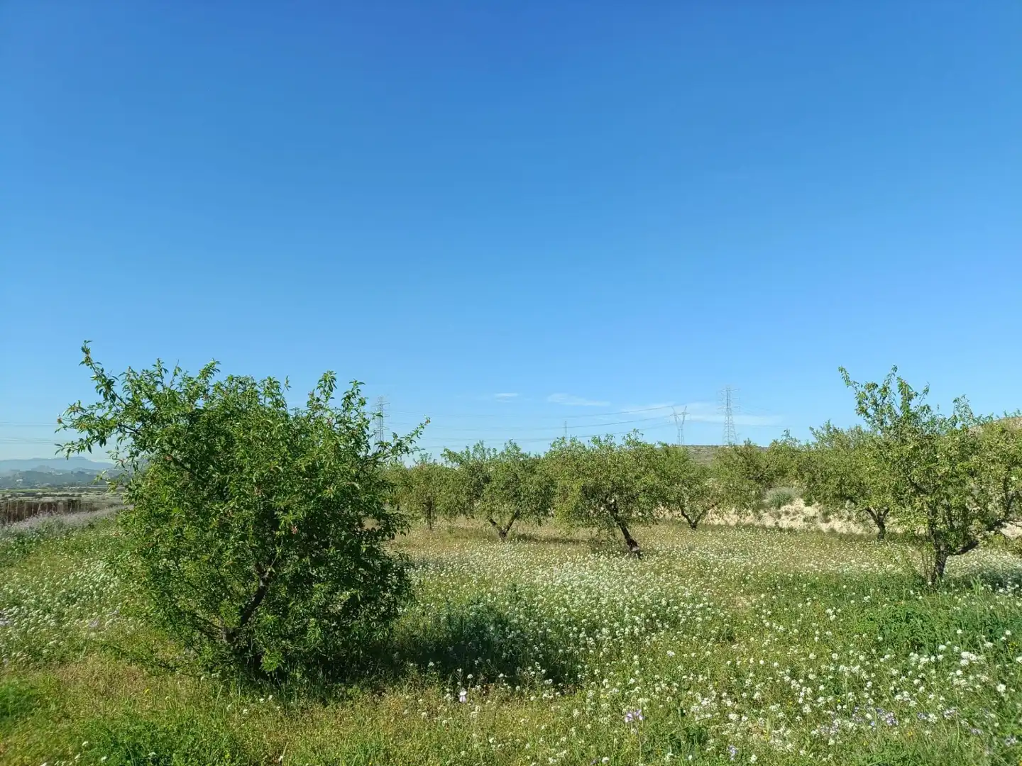 Haus oder Chalet zum Verkauf in Murcia mit Klimaanlage, Heizung und Privatgarten