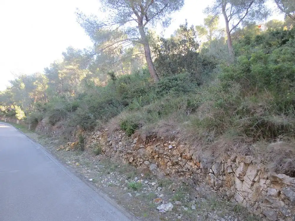Rural land for sale in CL Pinos Nº 22, imagen 3