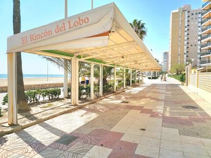 Premises to rent in Cullera  with Terrace and Furnished
