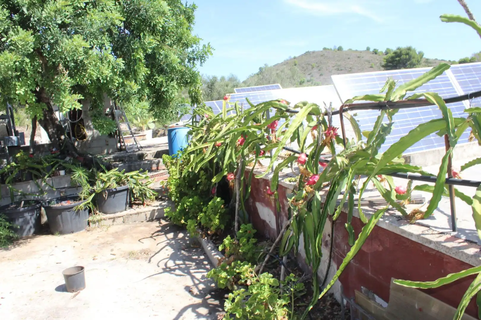 Casa rústica en venda a Oliva pueblo, imagen 22