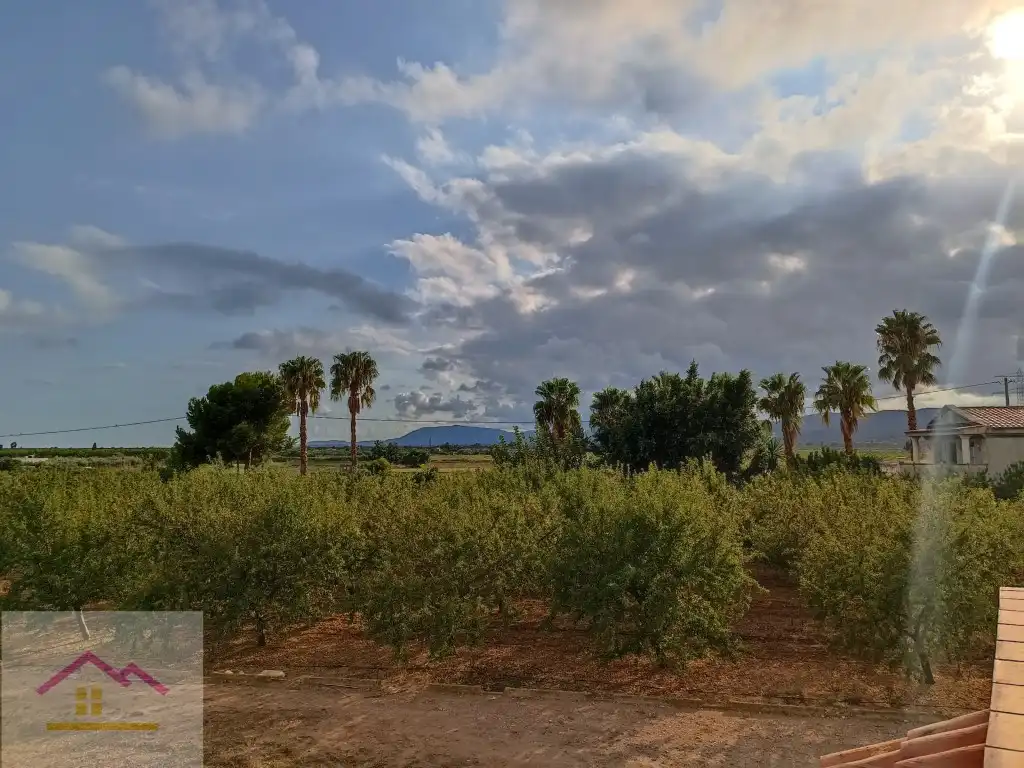 Finca rústica en venda a Calle Oropesa, 14, Torreblanca
