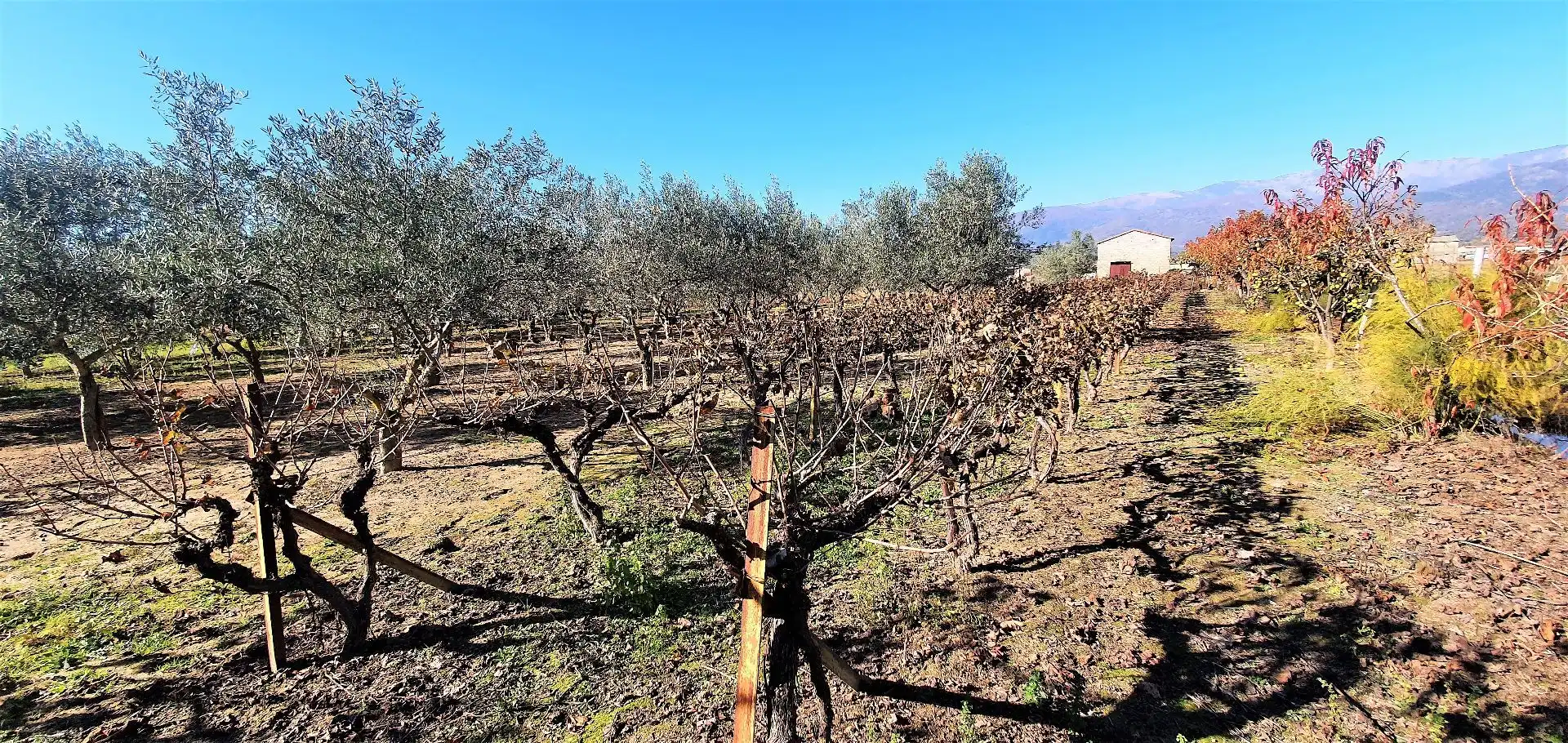 Terreni e lotti in vendita a Losar de la Vera, imagen 19
