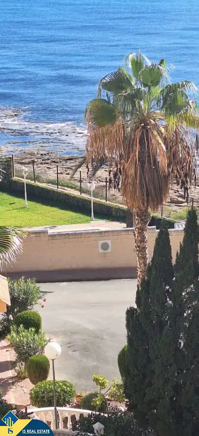 Jardí de Estudi en venda en Torrevieja amb Aire condicionat, Calefacció i Terrassa