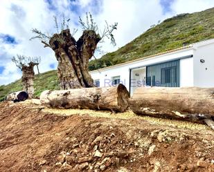 Vista exterior de Casa o xalet de lloguer en Antequera amb Jardí privat i Terrassa