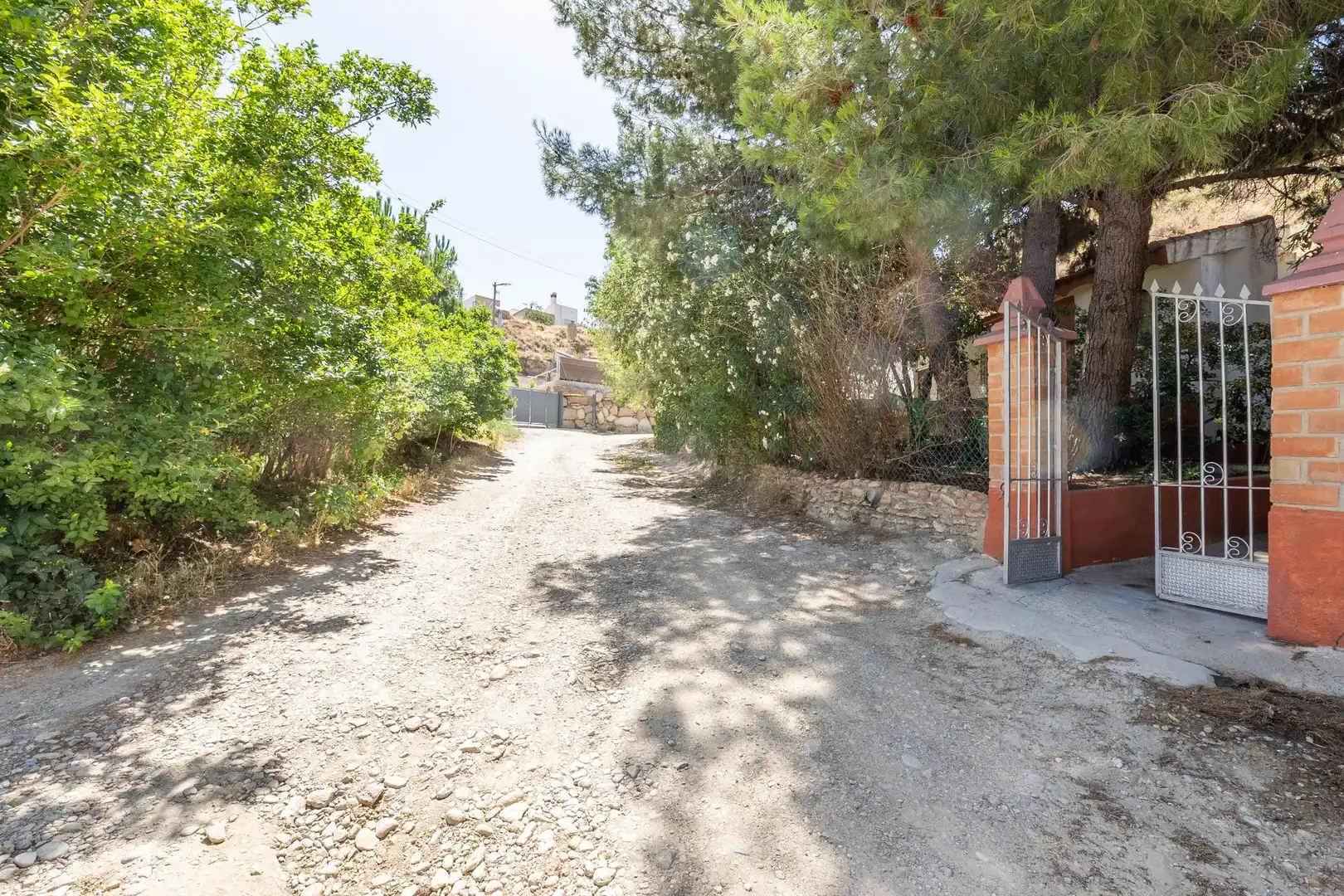 Finca rústica en venta en Caniles