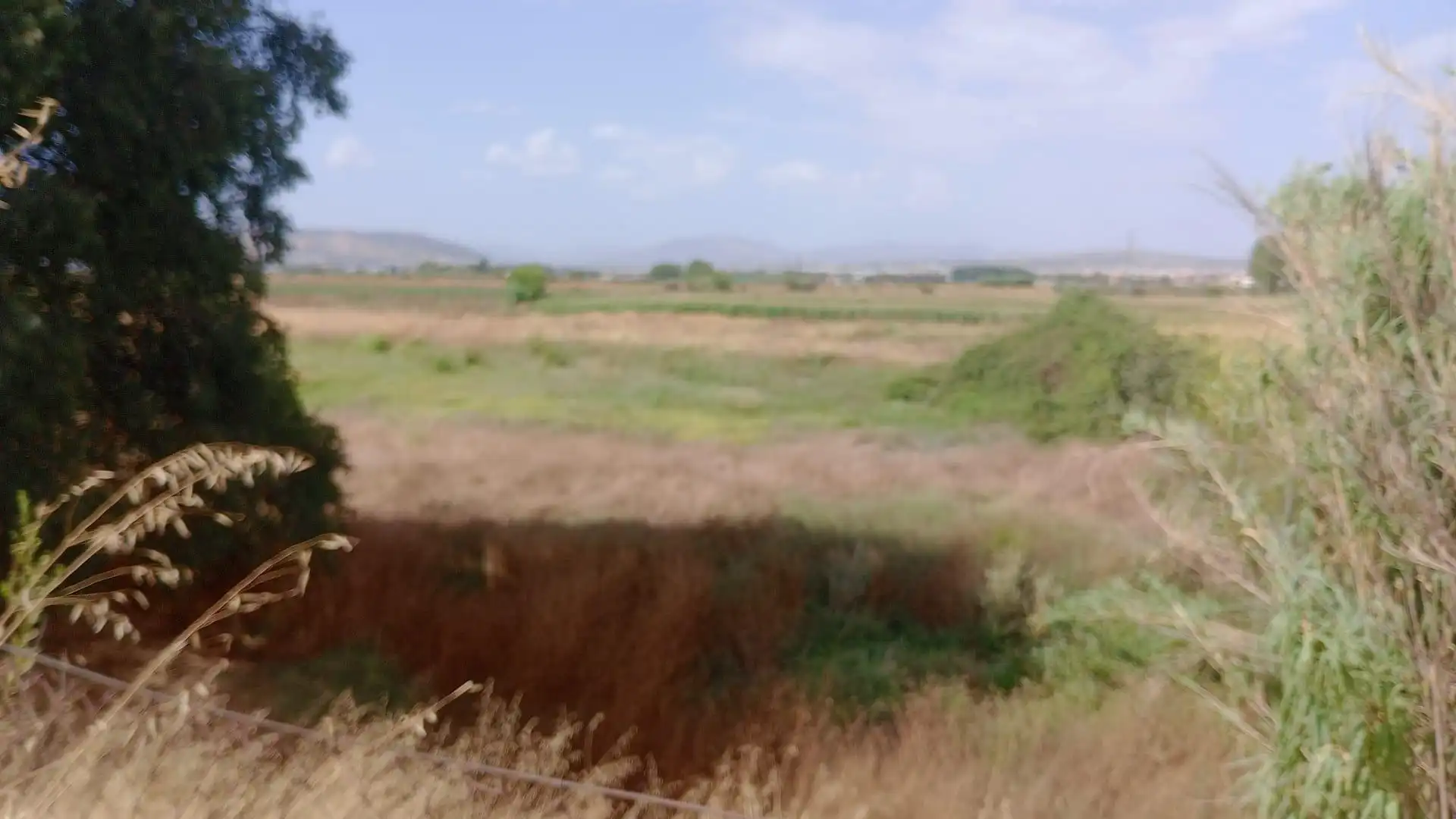 Terreno rustico in vendita a Ronda, imagen 15