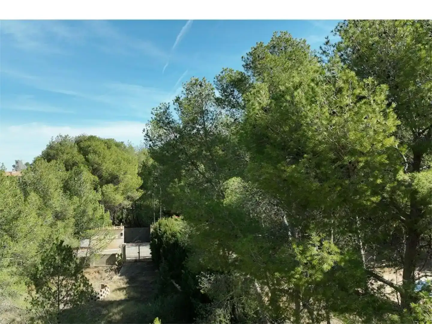 Exterior view of Houses for sale in Chiva