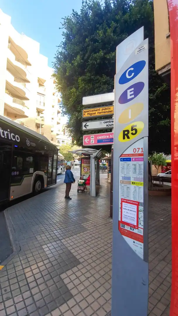 Wohnung mit Terrasse zum Verkauf in Elche ciudad, imagen 49
