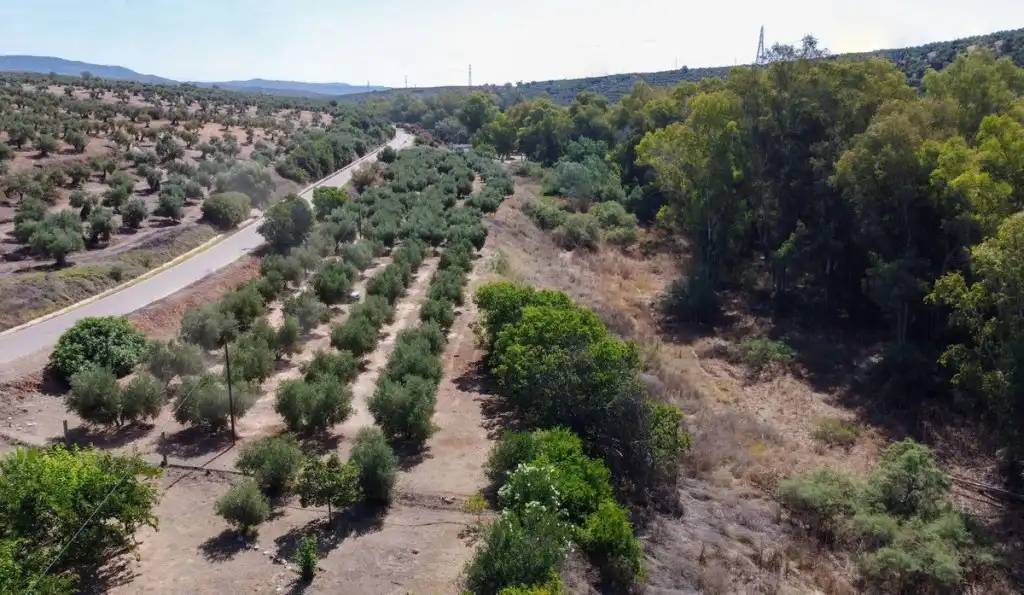 Finca rústica en venda en Tierga amb Jardí privat, Terrassa i Traster