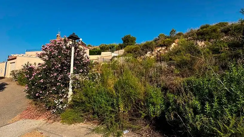 Terrain résidentiel à vendre à ctra El Pinar, imagen 3